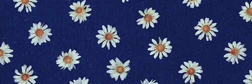 FrancysGgg's profile banner image
