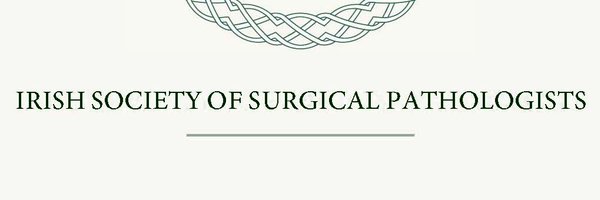 the_issp Profile Banner