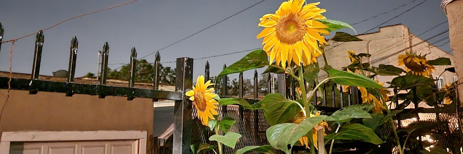 itspancha's profile banner image