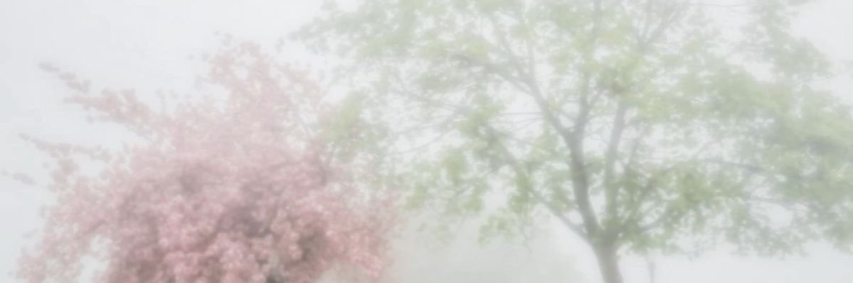 ₊˚⊹ 🍡 banner