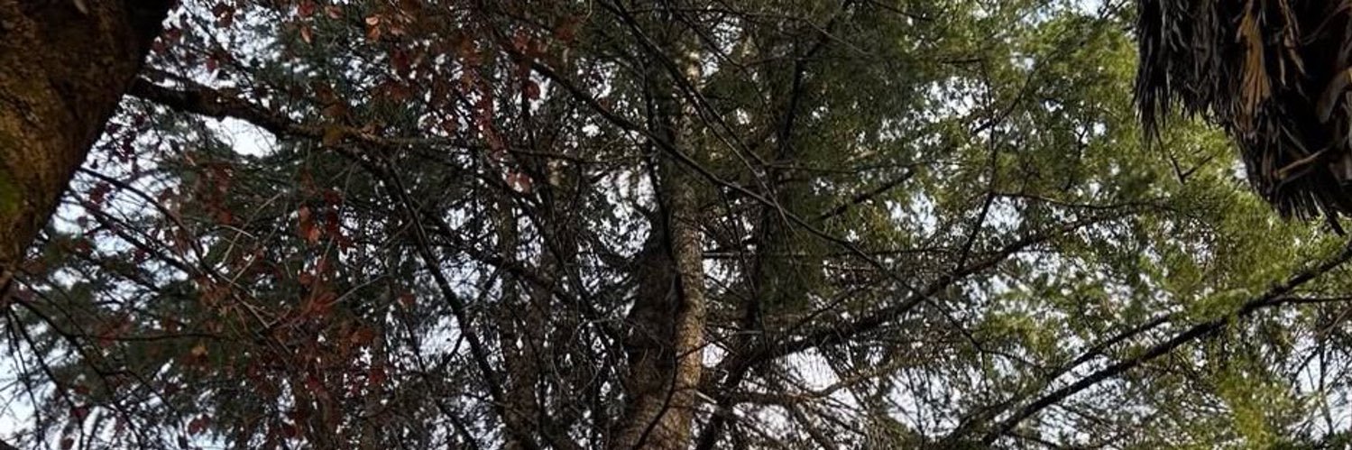 AmyMoore574's profile banner image