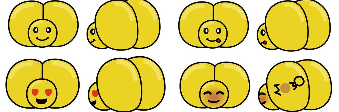 PigTwinks's profile banner image