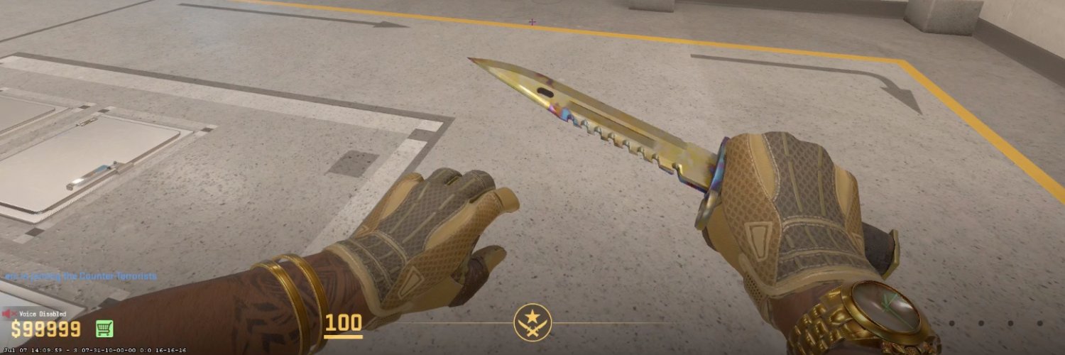 netstatCS - csflips.com banner