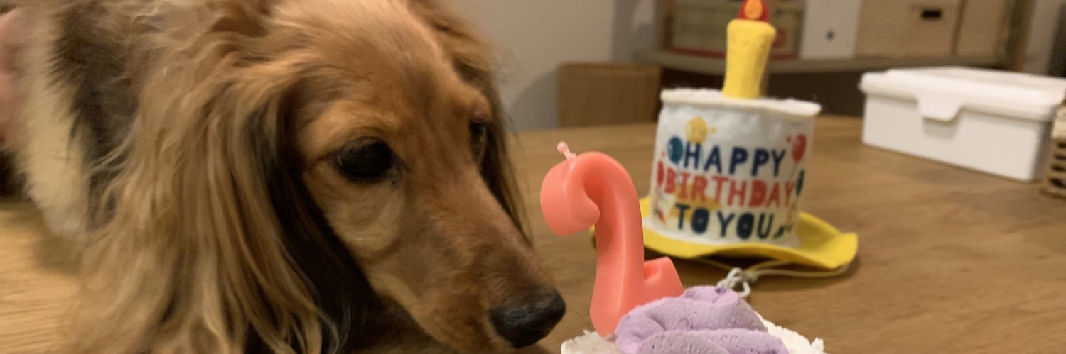 ♡Yoshimin♡@サンちゃんママ banner