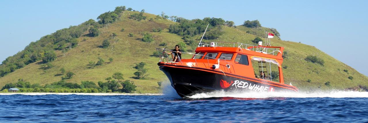 redwhaledc's profile banner image