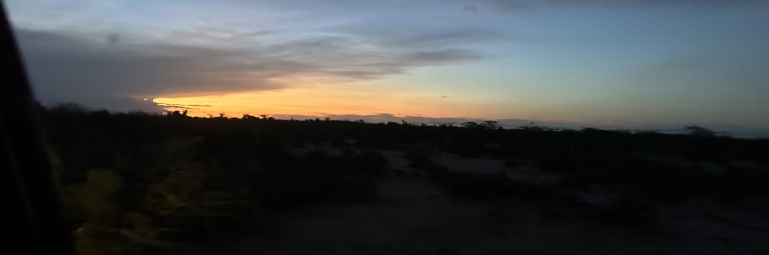 Crypto Safari banner