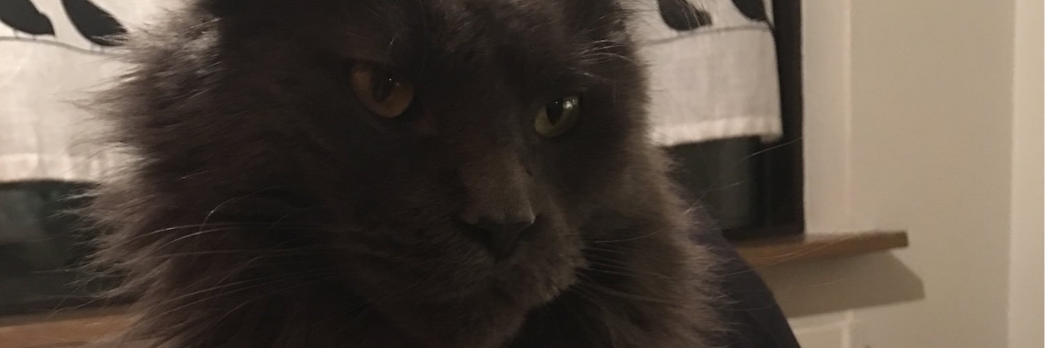KatrinMist's profile banner image