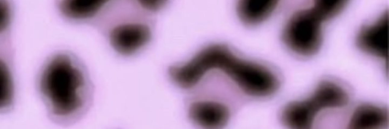 あう banner