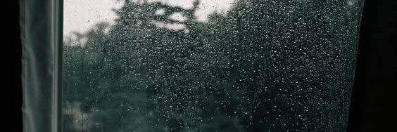 ร่มสีดำในวันที่ฝนตก banner