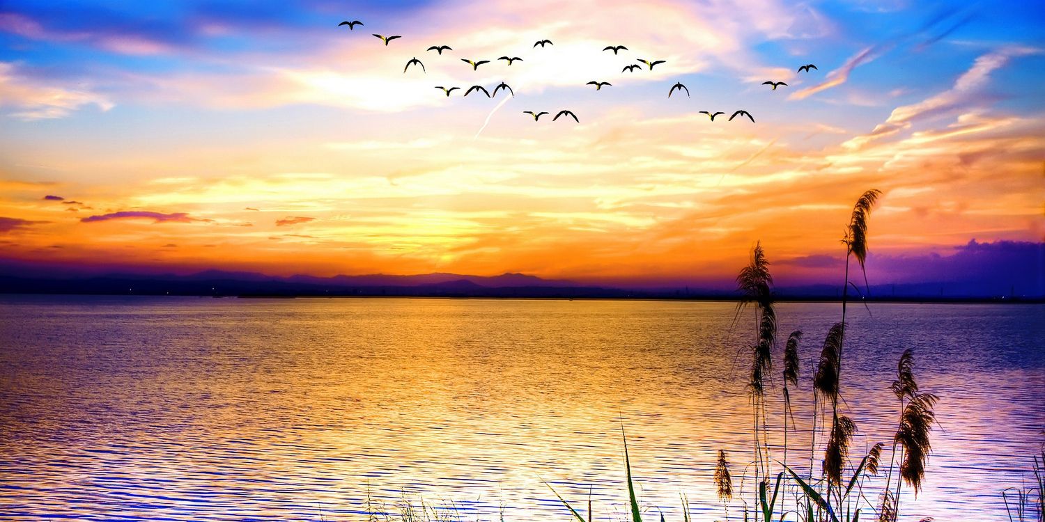 CarterJonas498's profile banner image
