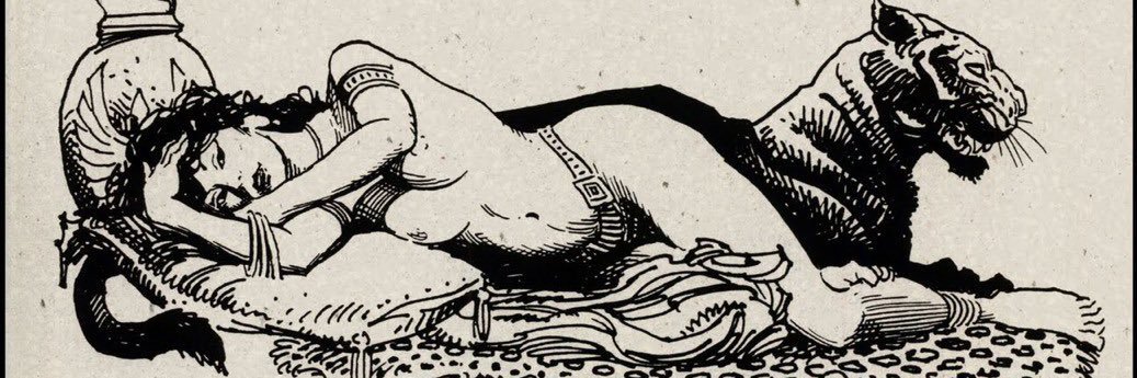 pussyprogramer's profile banner image