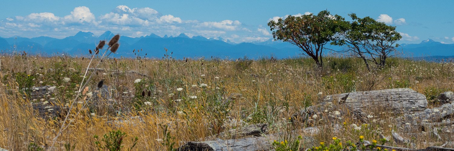 dselkirk's profile banner image