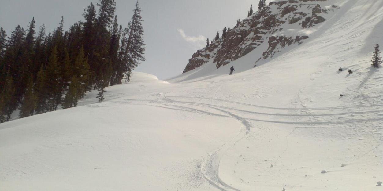 Scott M. Robinson banner