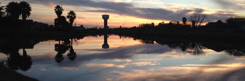 David Schwartz banner