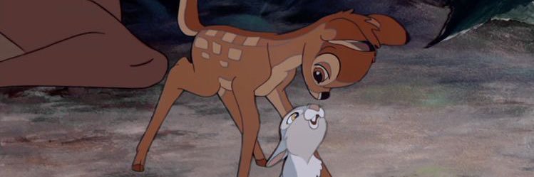 noni ⊹ ࣪ ˖ banner