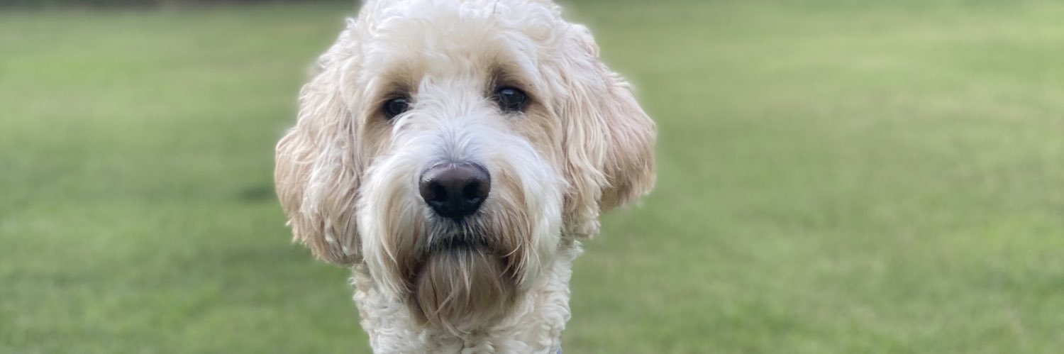 Turf Dynamics Inc banner