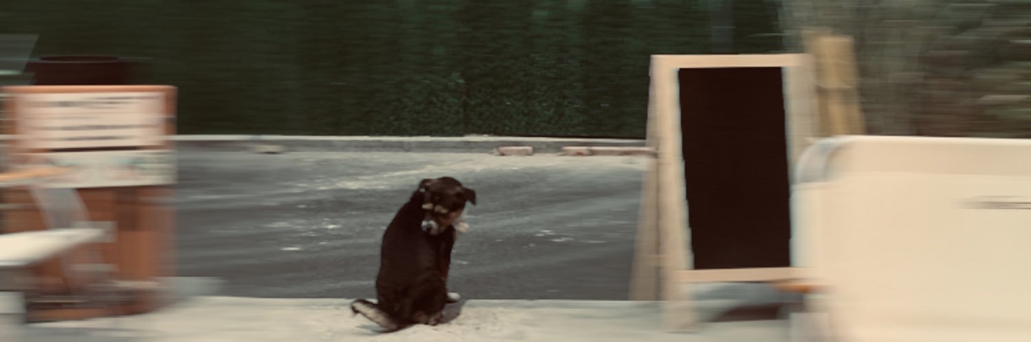 liangbantusi's profile banner image