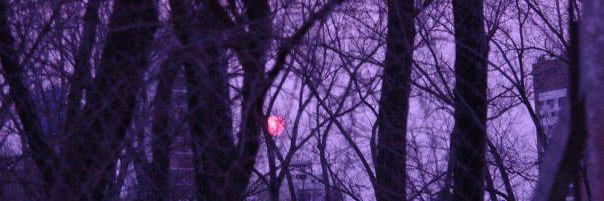 Anitaluzv's profile banner image