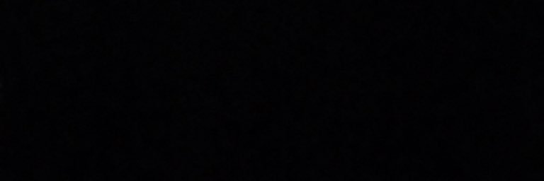 lillytheloser's profile banner image