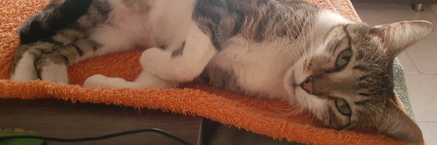 ANALILI22's profile banner image