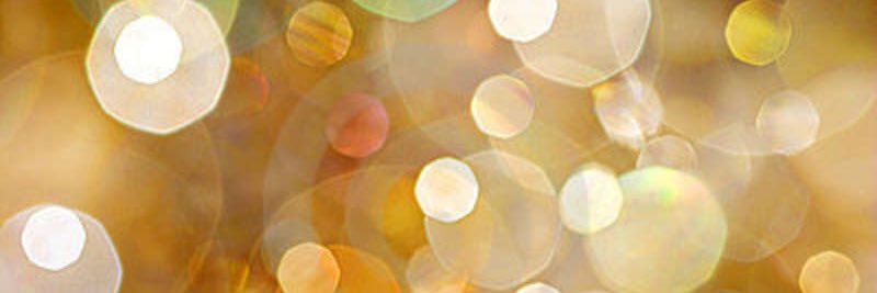 _salamanderrr's profile banner image