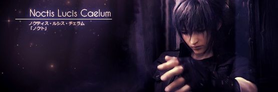 noctisuu's profile banner image