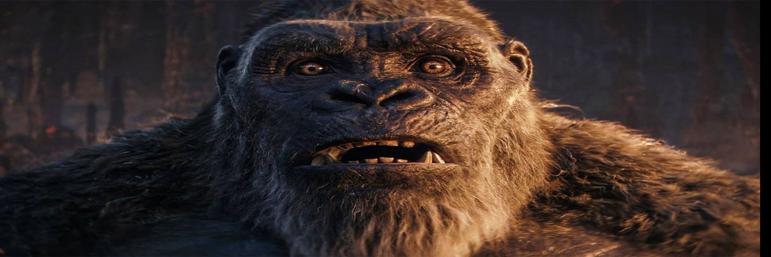 👑KING-KONG🦍 banner