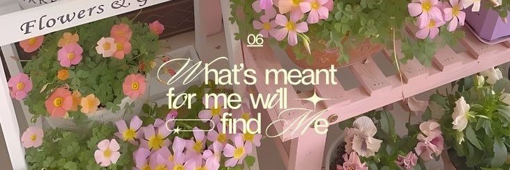 cacil🍰🍧 banner