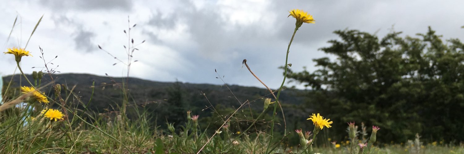 Gluisi's profile banner image