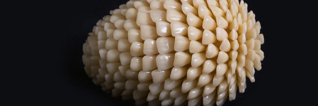 Héctor Rodríguez banner