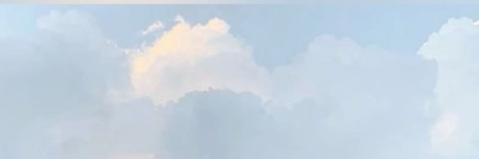 Ashley ⋆｡°✩'s banner