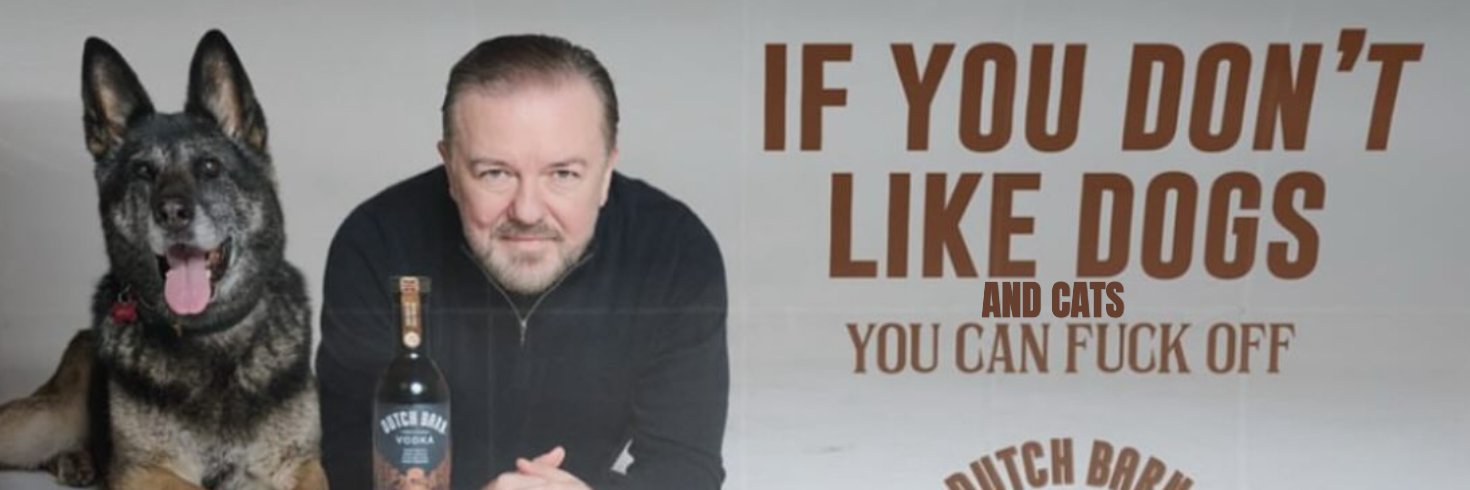 𝐖𝐢𝐭𝐞𝐤 banner