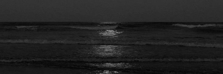 SN banner