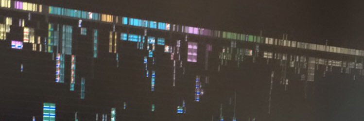 PauCactus's profile banner image