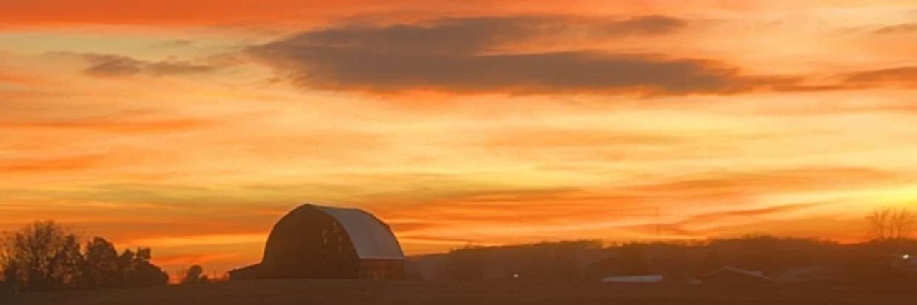 Jennifer Pollock banner