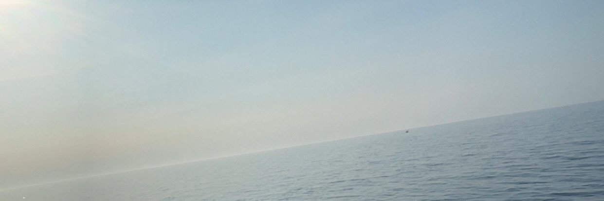 serk4u banner