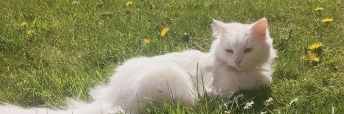 Hunter. banner
