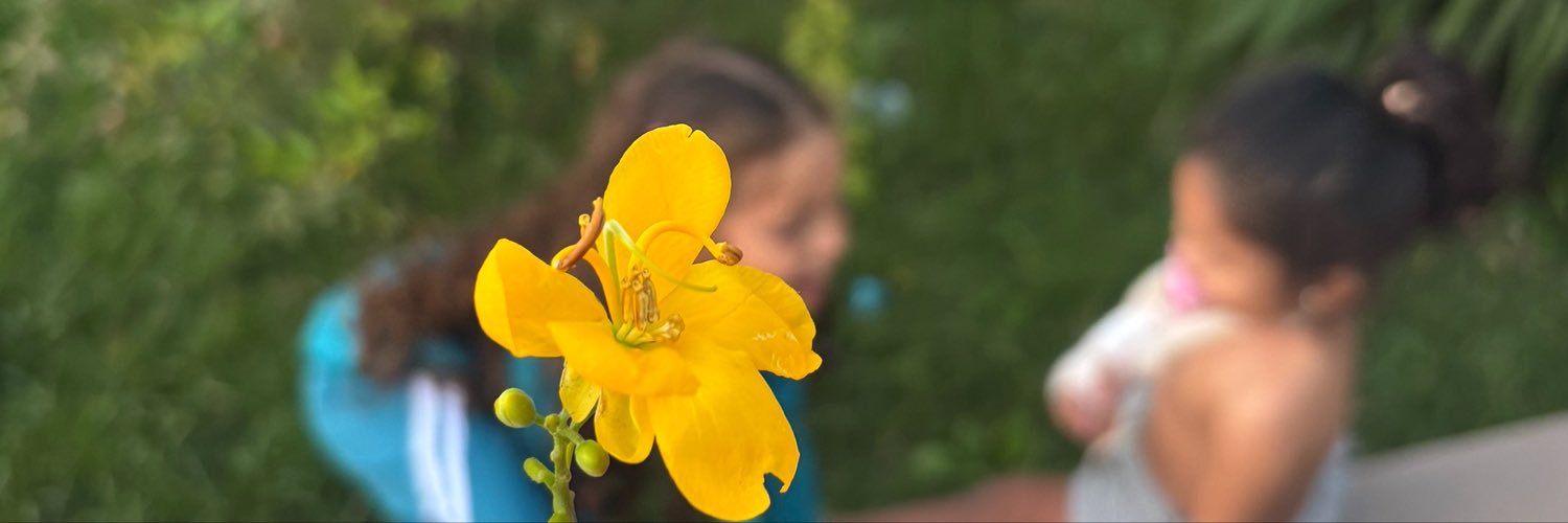 meirakj's profile banner image