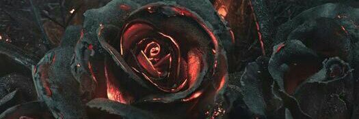 SAM_KBi's profile banner image
