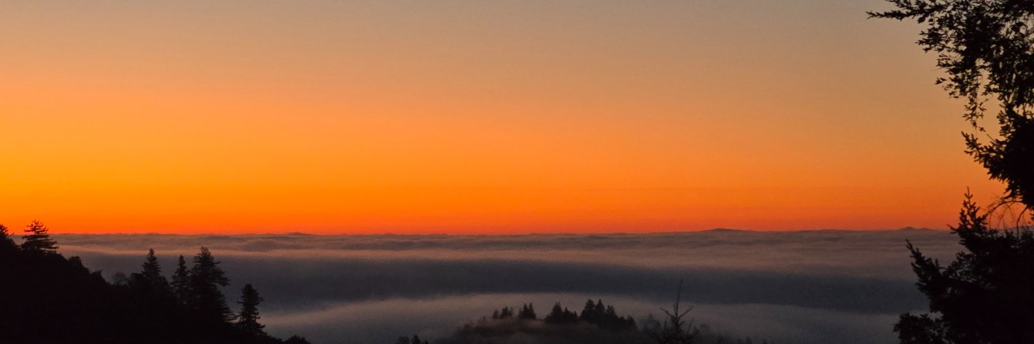 Dan Hollinger banner