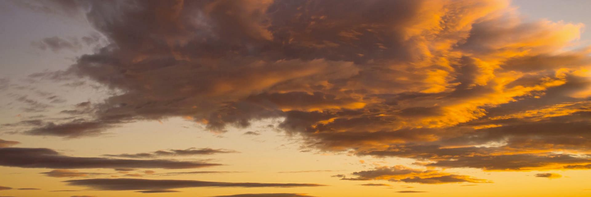 somecomfylatte's profile banner image