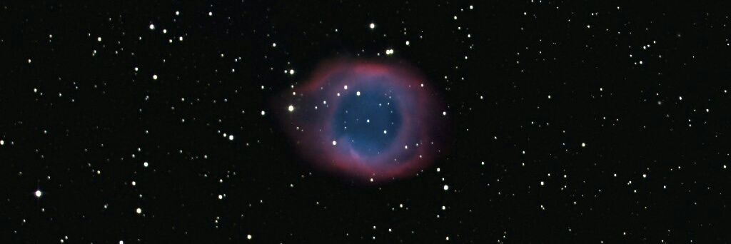 Adrian Deane 🇳🇿 banner