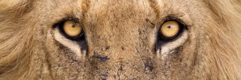 BJTaylor30's profile banner image