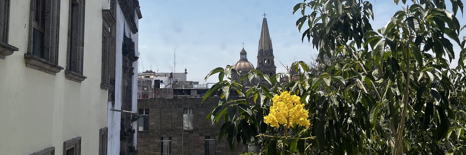 maferrari 🐝 banner