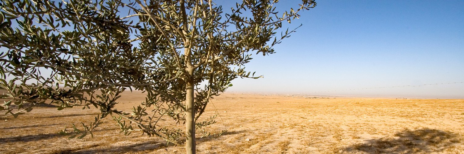 WadiAttir's profile banner image
