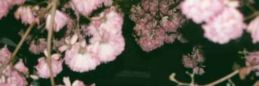alinaamarae's profile banner image