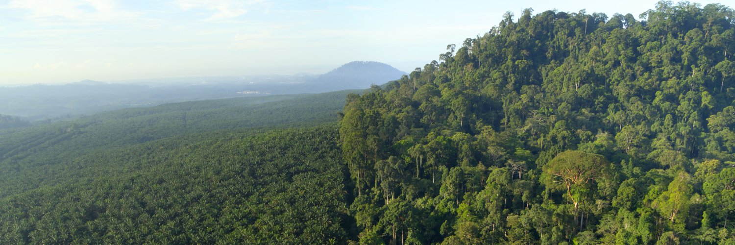 Down to Earth Magazine banner