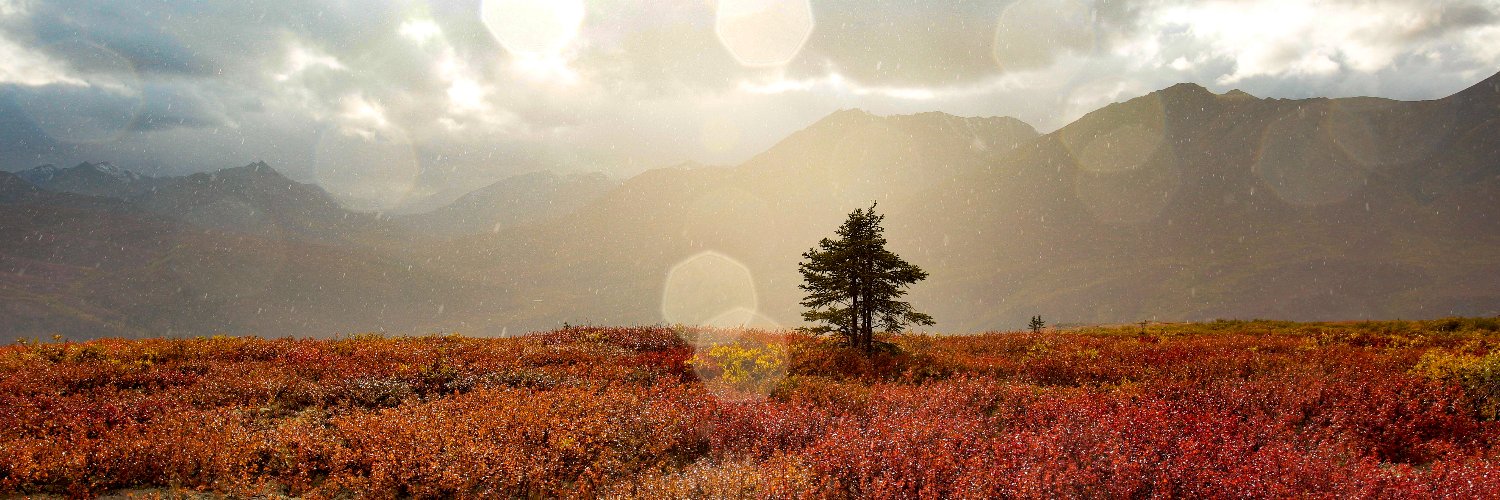 Robin Steudel banner