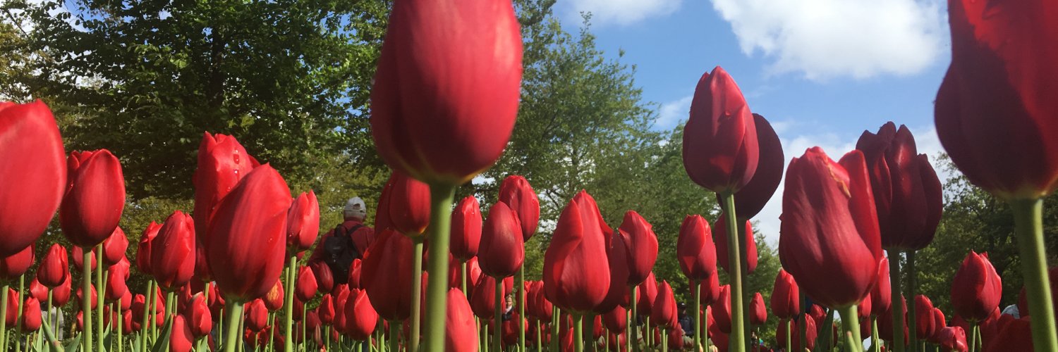 AugustaFriendsStocks banner