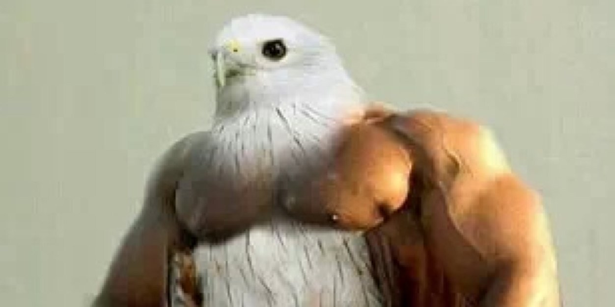 ChapelMuscle's profile banner image